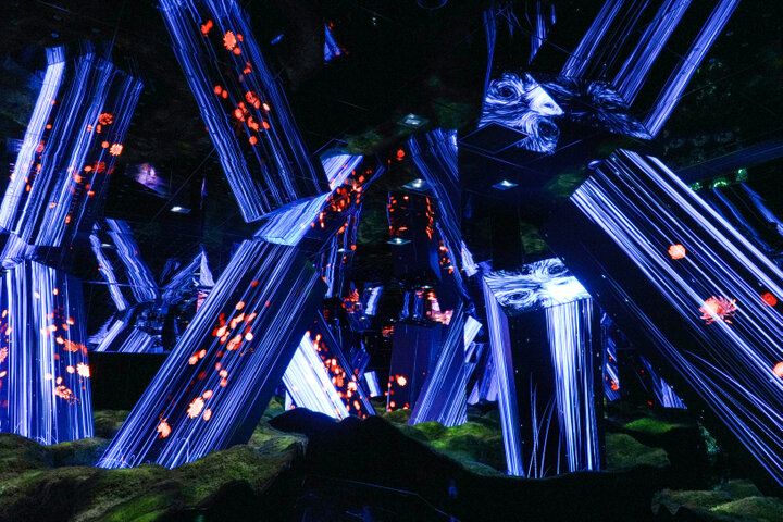 京都にチームラボ国内最大のミュージアムが誕生。日本未発表作品も