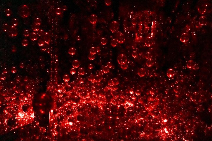 京都にチームラボ国内最大のミュージアムが誕生。日本未発表作品も