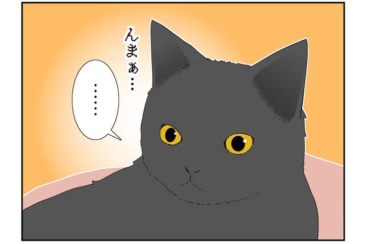 【マンガ・老猫日誌＃33】老猫、中高年猫から刺激？をもらう…18歳の元保護猫・桃姐