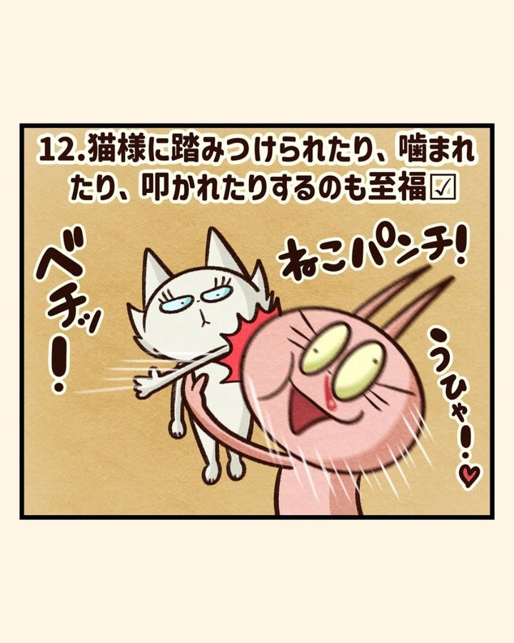 漫画「あなたは猫中毒？」のカット（セニョリータかめさん提供）