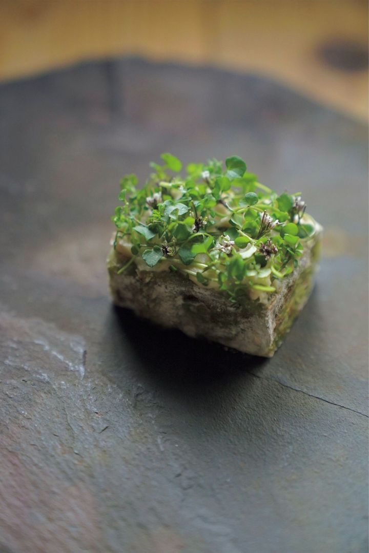 6月の「塩菓子」として登場した、草をイメージした味わいの葛焼き。Photo_ Toshihiko Murakami