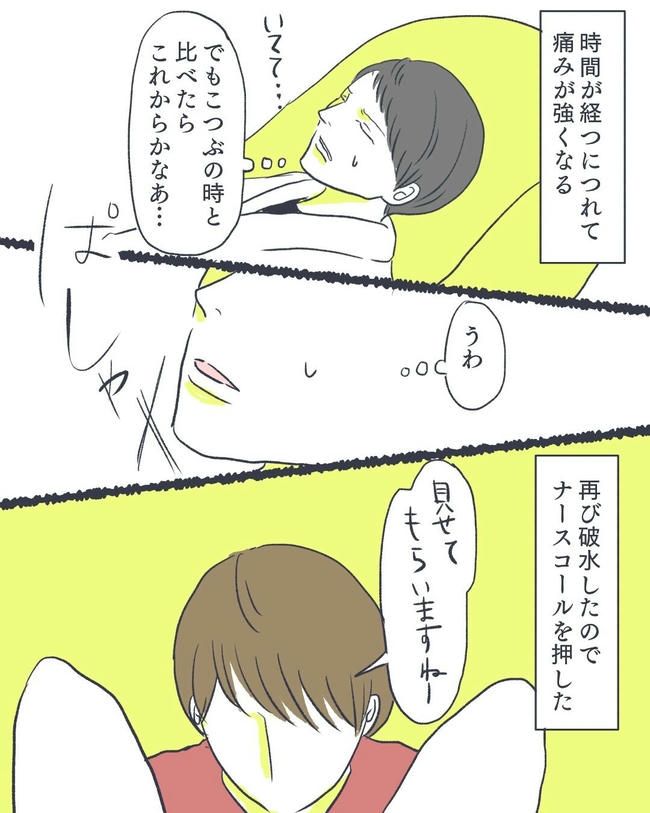 お空に行ったきみのはなし／かばのき