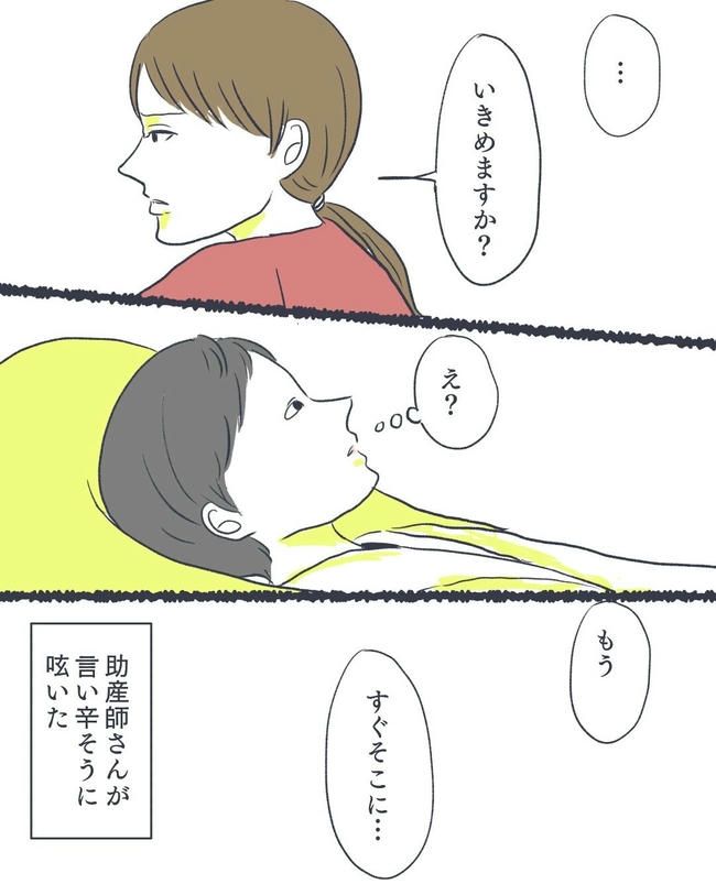 お空に行ったきみのはなし／かばのき