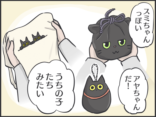 黒猫の魅力7.PNG