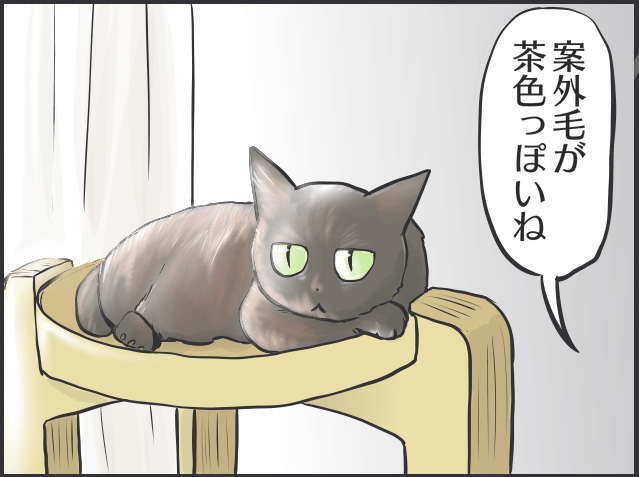 黒猫の魅力5.PNG