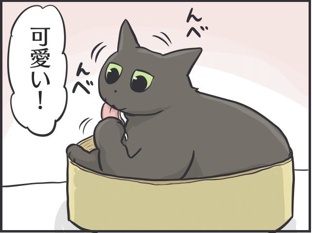 黒猫の魅力4.PNG
