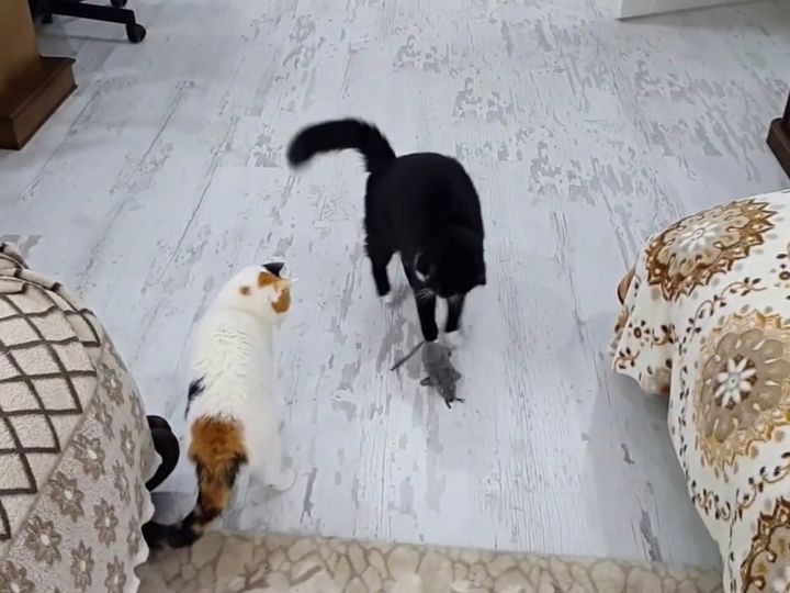 おもちゃを追っているうちに…