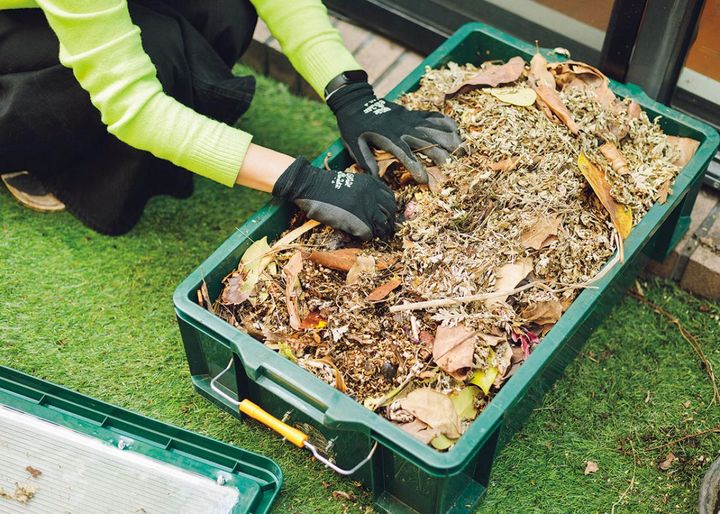 植物を捨てる罪悪感を解消するためコンポストを活用中