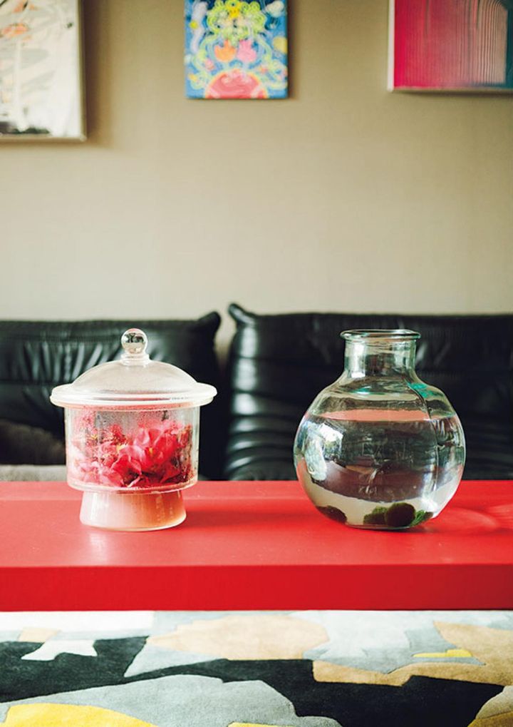 ガラス瓶にはお気に入りのマリモとツバキを入れて