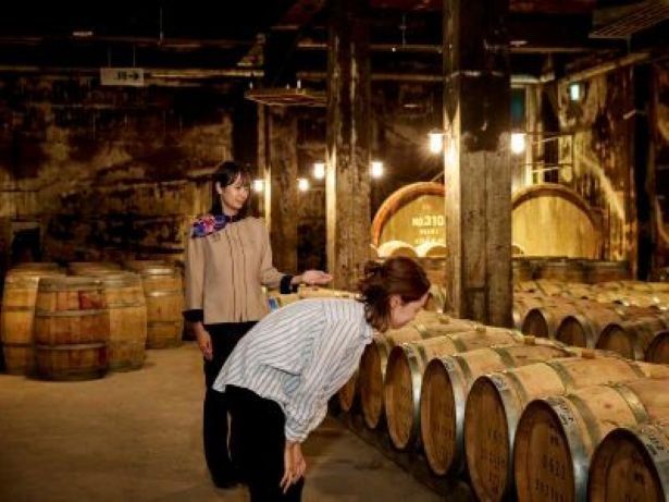 樽熟成庫を巡る人気のワイナリーツアー