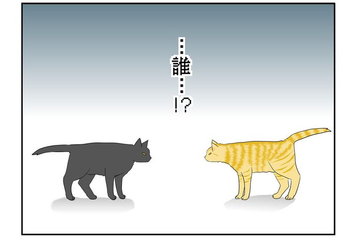 【マンガ・老猫日誌＃34】猫、互いの存在を忘れる？ 18歳の元保護猫・桃姐