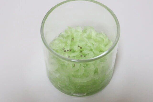 ダイソーの土無しで育つ栽培ファイバー プリムレアは水耕栽培におすすめ