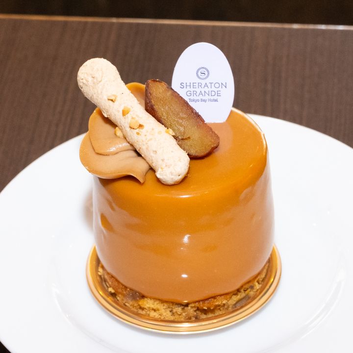 シャテニエ 撮影