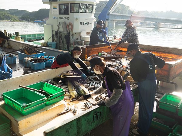 魚のプロが作る食の定期便サービス「ごちそうふぃっしゅ」。キャンペーン実施中！