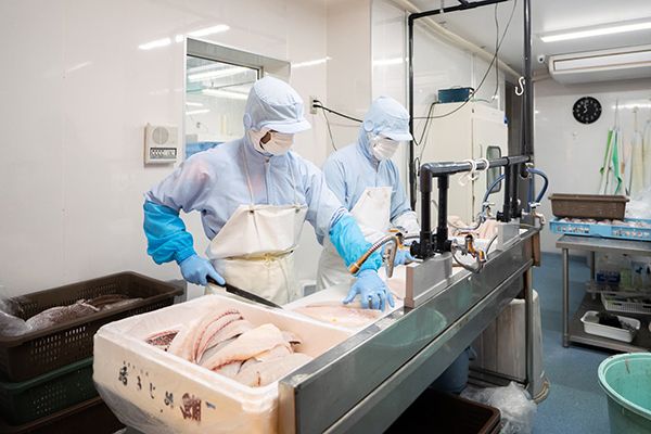 魚のプロが作る食の定期便サービス「ごちそうふぃっしゅ」。キャンペーン実施中！