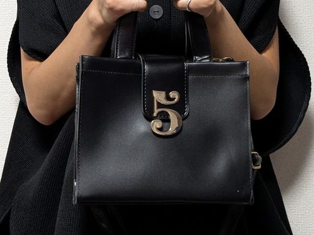 トゥエンティーズショルダーバッグ手に持ったところ