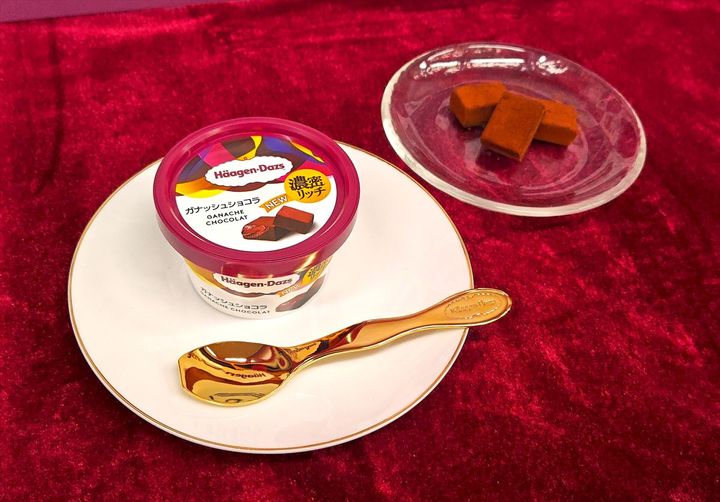 新フレーバー「ハーゲンダッツ ミニカップ『ガナッシュショコラ』」