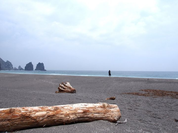 渋谷モヤイ像の故郷「新島」の昔懐かしい風味の「あしたばせんべい」【旅するデザイナーがおすすめするお土産たち！】