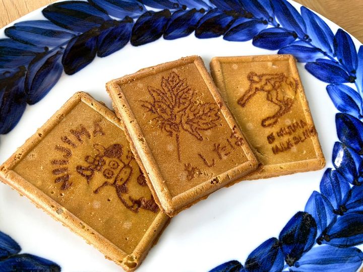 渋谷モヤイ像の故郷「新島」の昔懐かしい風味の「あしたばせんべい」【旅するデザイナーがおすすめするお土産たち！】