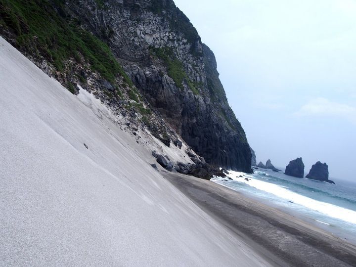 渋谷モヤイ像の故郷「新島」の昔懐かしい風味の「あしたばせんべい」【旅するデザイナーがおすすめするお土産たち！】