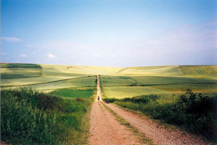 千年以上もの間、人々が歩き続けてきた道。続く麦畑に、この道でいいのかと不安に。