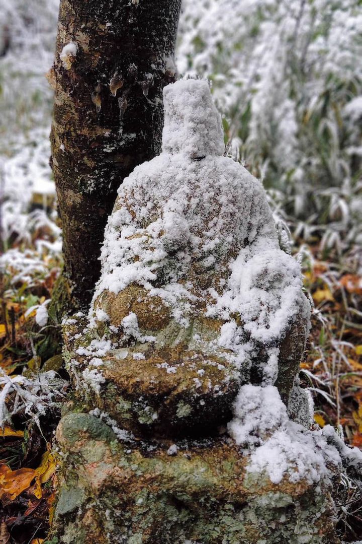 一面雪に。「よくここまで歩いてきたね、というお大師様と父からのギフトだなぁと」