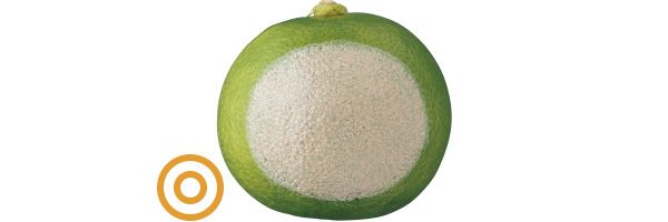 07：トム フォード ビューティ