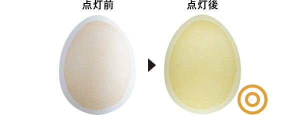 02：イヴ・サンローラン 点灯前 点灯後