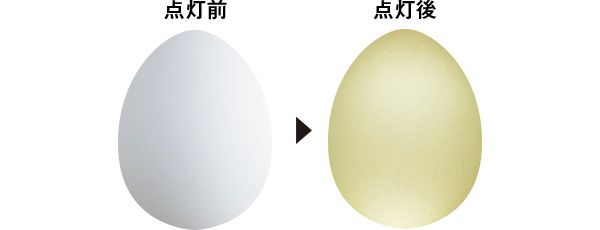 Before 点灯前 点灯後