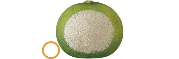 02：イヴ・サンローラン