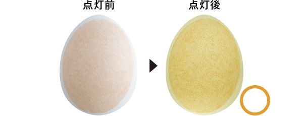 10：ポール ＆ ジョー 点灯前 点灯後