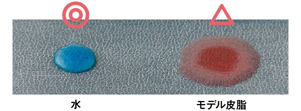 10：ポール ＆ ジョー 水 モデル皮脂