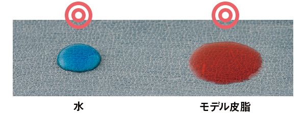 09：ポーラ 水 モデル皮脂