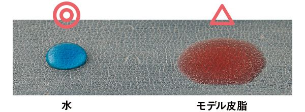 03：カネボウ 水 モデル皮脂