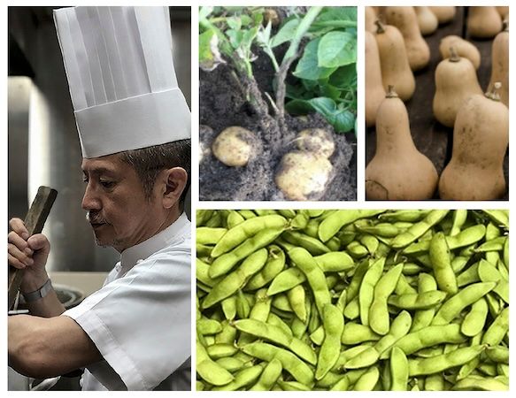 無添加で素材の旨みを凝縮！四季の京野菜を使った「シーズナル ベジ スープ」が新発売