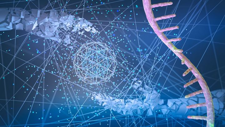 自己組立「人工ウイルス粒子」の製造— 細胞が自ら免疫を刺激