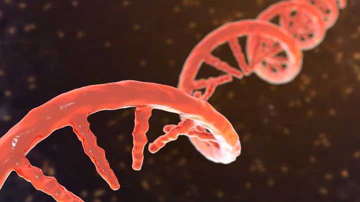 従来のmRNAワクチンはウイルス部品の1つだけを免疫に覚えさせる