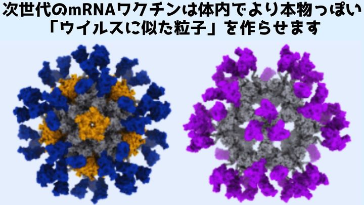 次世代のmRNAワクチンは体内で「ウイルスに似た粒子」を作らせる