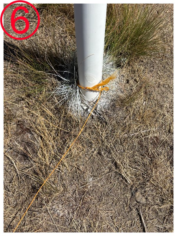 このボール、セーフ？OB？米女子ツアーのシビアな判定を突撃取材