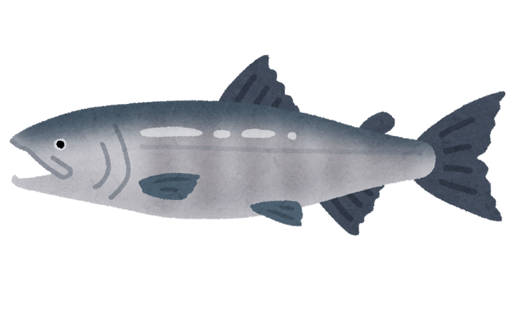 サケのイラスト（魚） | かわいいフリー素材集 いらすとや