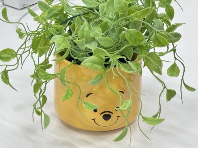 植木鉢、立体タイプ（くまのプーさん）プーさん 使用例