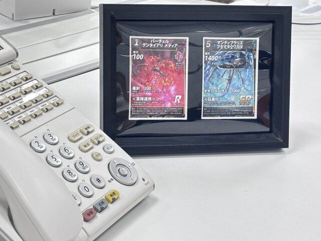 コレクションフレーム（トレーディングカード2枚組） 使用例