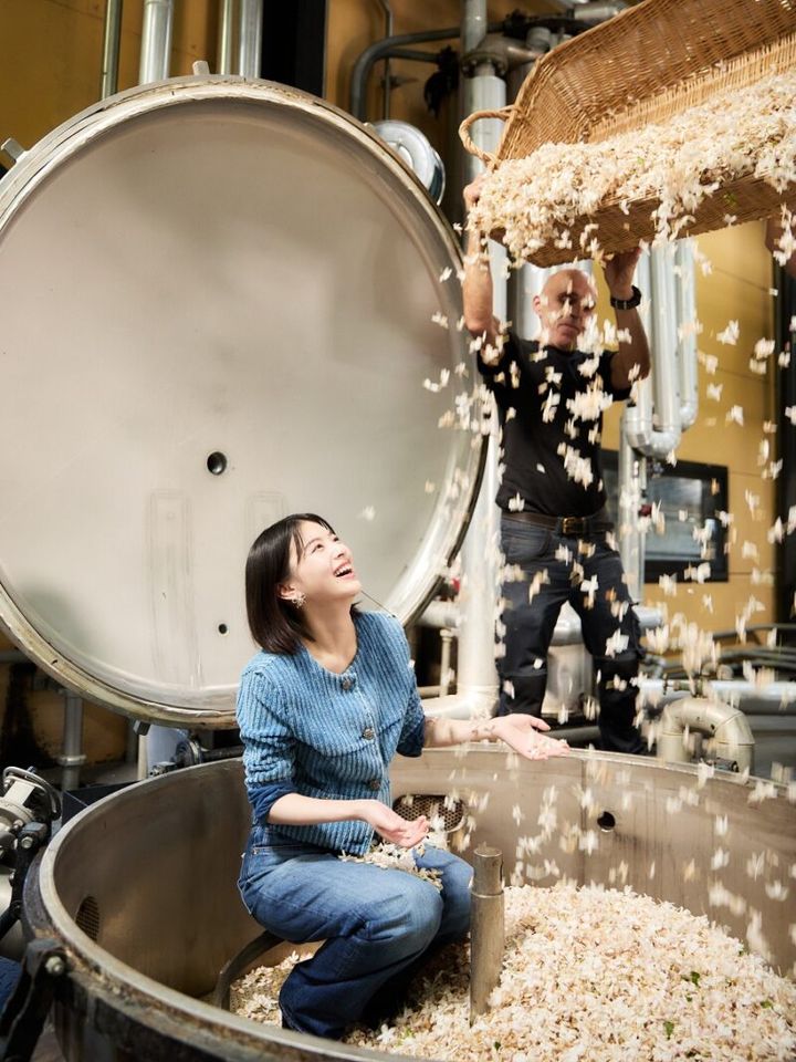 摘み取られたジャスミンは、その日のうちに工場へ