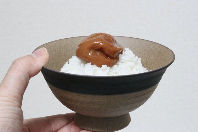 波佐見焼 呉須巻 茶碗 使用感