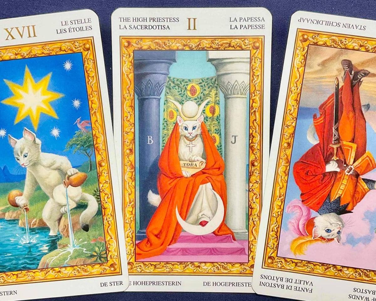 射手座】週間タロット占い《来週：2025年10月20日〜10月26日》の総合運