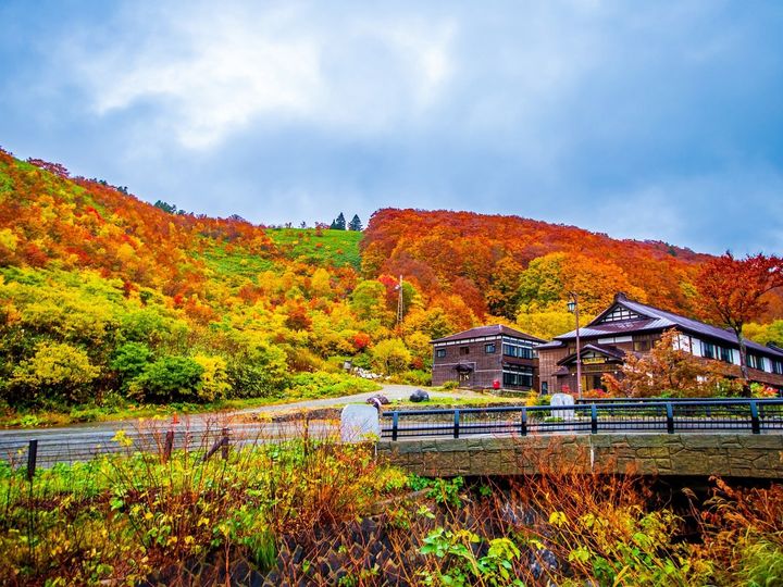 All About ニュース編集部は「秋に行きたい絶景ドライブスポット（北海道・東北地方）」に関するアンケート調査を実施。「秋に行きたい青森県の絶景ドライブスポット」ランキングで1位に選ばれたのは？
