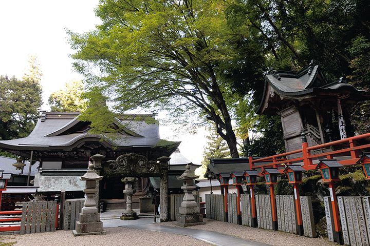 【秋の絶景ツーリング】バイクジンTTで巡る紅葉おすすめスポット10選