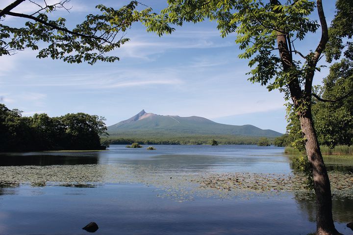【秋の絶景ツーリング】バイクジンTTで巡る紅葉おすすめスポット10選