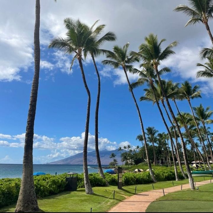 中道さん_マウイ島旅行＠散歩コース