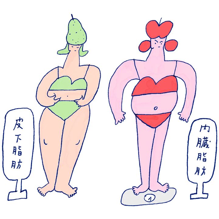 皮下脂肪 内臓脂肪 多い人 違い